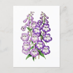Penstemon Vintage Botanische Postkarte