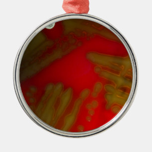 Penumonia Bakterien Ornament Aus Metall