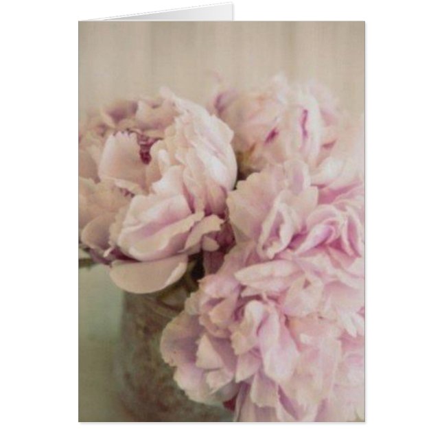 Peonies (Vorne)