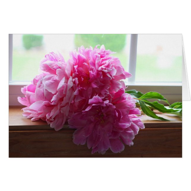 PEONIES (Vorderseite (Horizontal))