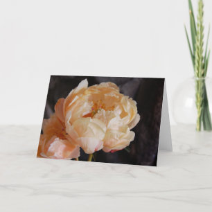 Peonies 6 karte
