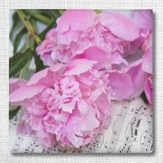 Peonies auf Klaviermusik Magnet