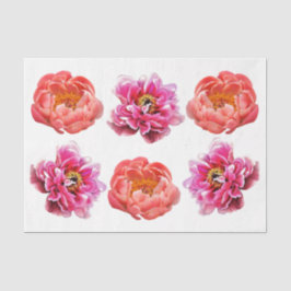 Peonies - Korallen & Rosa - Dekoupage Tissue Paper Seidenpapier