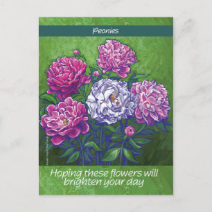 Peonies Postkarte