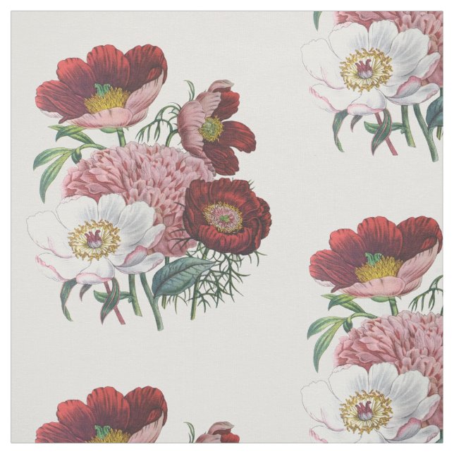Peonies Stoff (Muster)