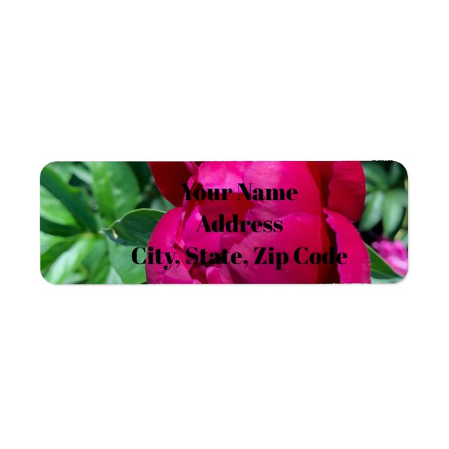 Peony Address Labels (Vorne)