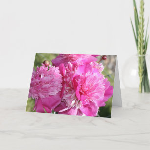 Peony Birthday Card Karte
