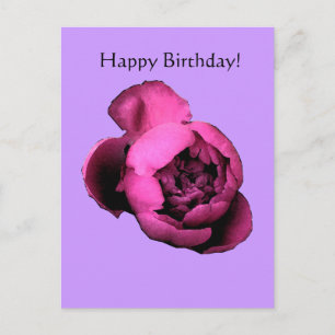 Peony Birthday Card Postkarte