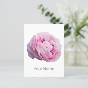 Peony Blossom Rose für Blume und Garten Lover Feiertagspostkarte