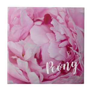 Peony Blossom Rose für Blume- und Gartenliebhaber Fliese