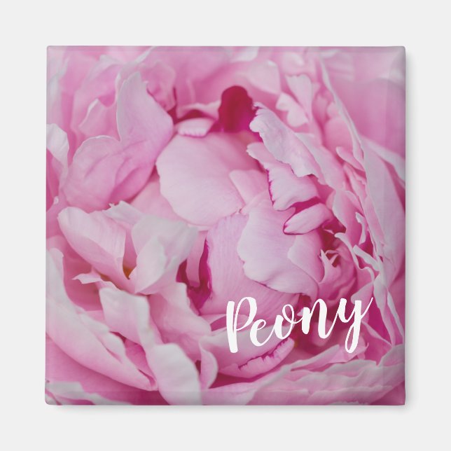 Peony Blossom Rose für Blume- und Gartenliebhaber Magnet (Vorne)