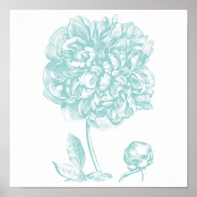 Peony Blue Green Poster (Vorne)