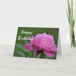 Peony Blume Foto Karte