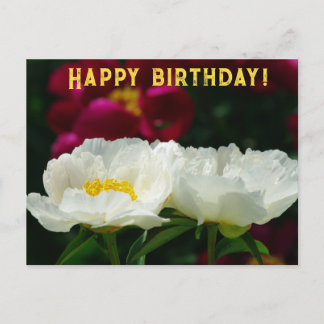Peony/Blume Magic/White Blume/Happy Birthday/ Feiertagspostkarte