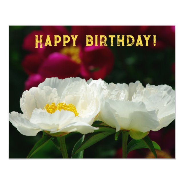 Peony/Blume Magic/White Blume/Happy Birthday/ Fotodruck (Vorne)