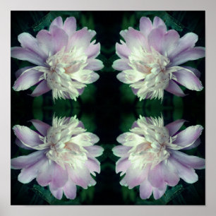 Peony Blume Nature Abstrakt Poster