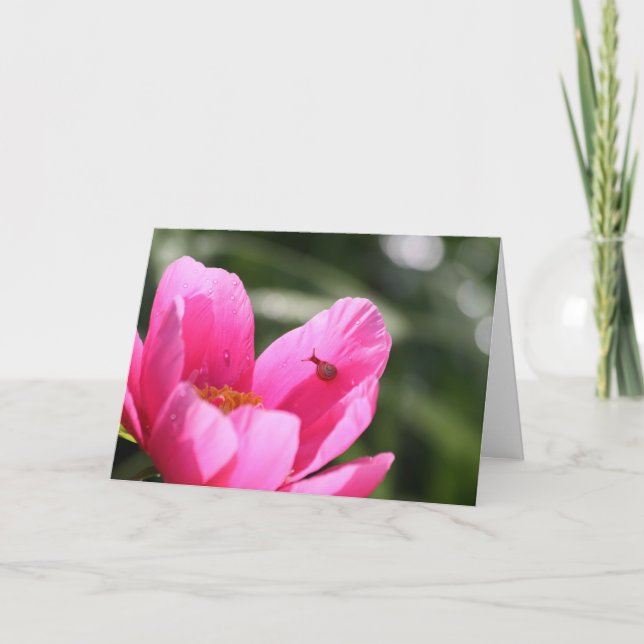 Peony "Chameleon" Karte (Vorderseite)