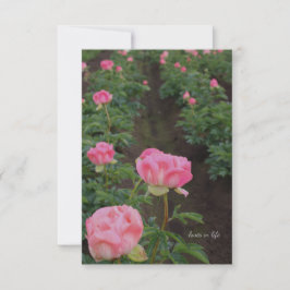 Peony Field Mitteilungskarte