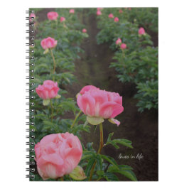 Peony Field Notizblock