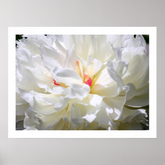 Peony Flame Print Poster