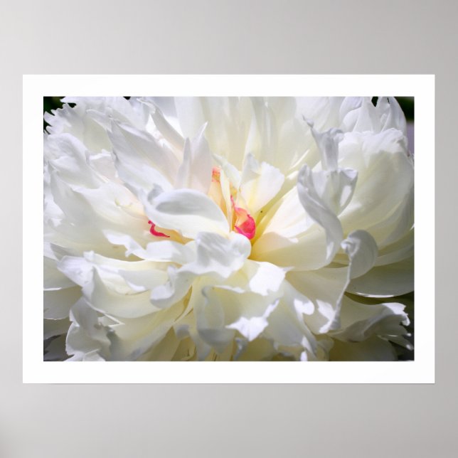 Peony Flame Print Poster (Vorne)