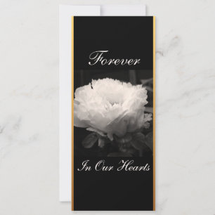 Peony Floral Fotografy 3 Beerdigung Ankündigung