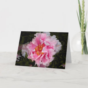 Peony in Full Karte