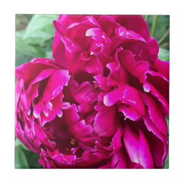 Peony Keramik Tile Fliese