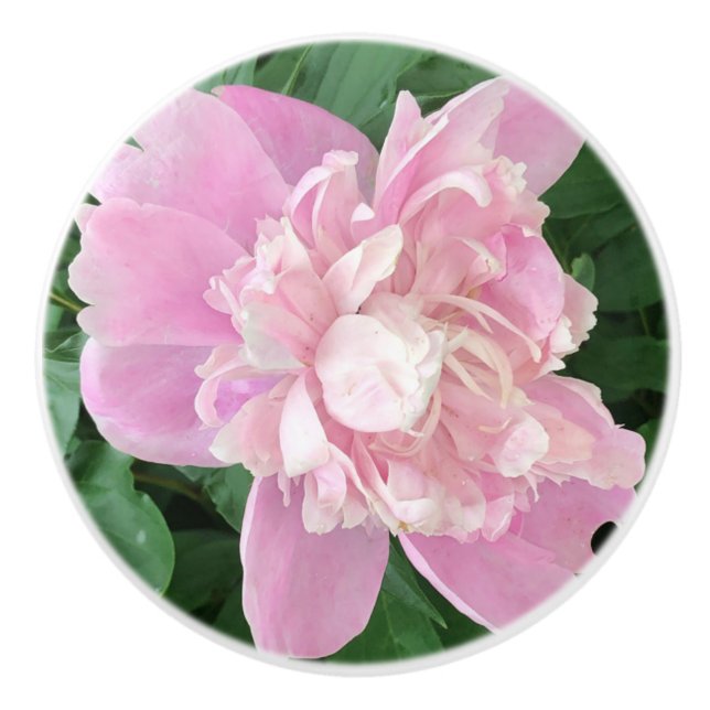 Peony Knob Keramikknauf (Vorderseite)