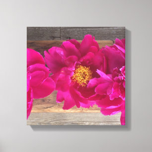 Peony Leinwand