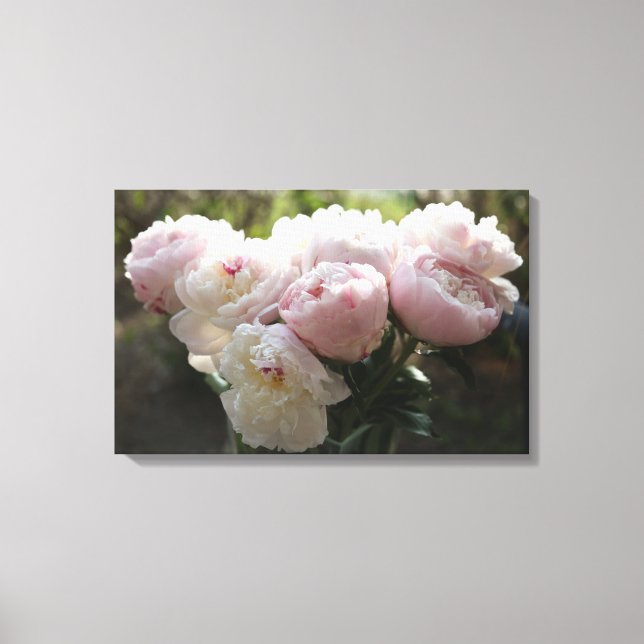 Peony Leinwand Art (Vorderseite)