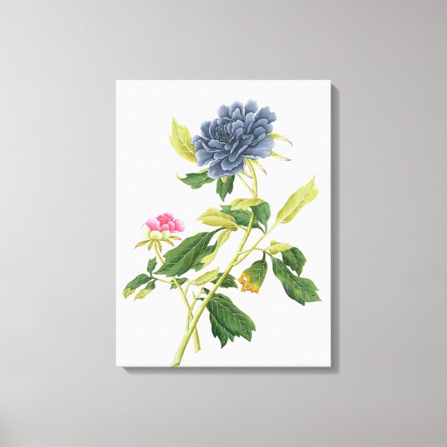 Peony Leinwanddruck (Vorderseite)