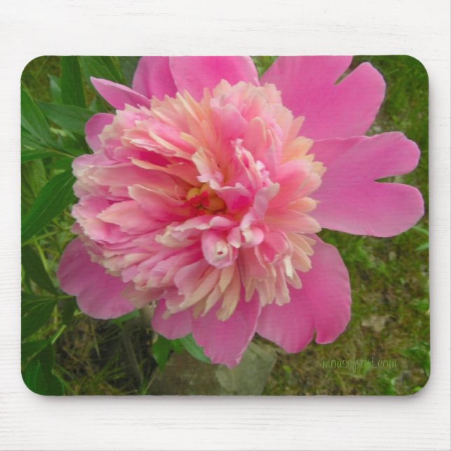 Peony Mousepad (Vorne)