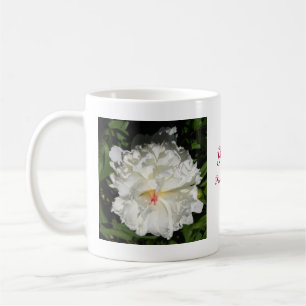 Peony nah    up Paeonia lactiflora Kaffeetasse