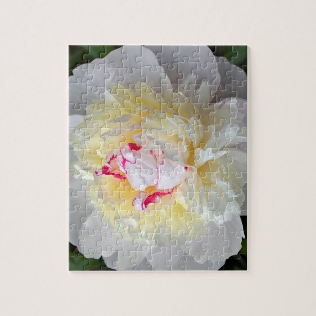 Peony Passion Puzzle (Vertikal)