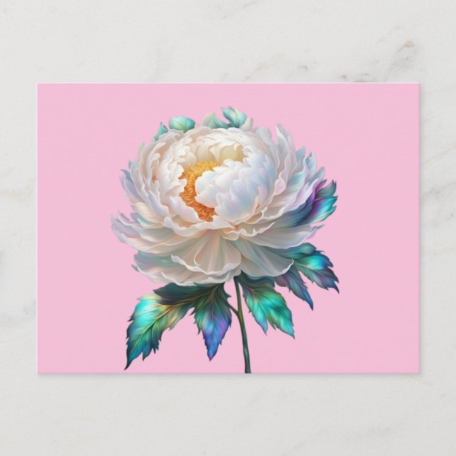 Peony Peace Postkarte (Vorderseite)