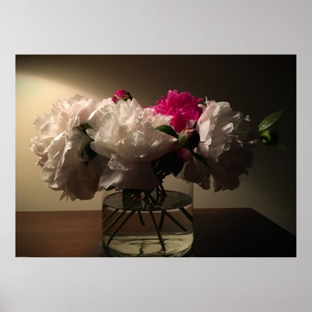 Peony, Poster (Vorne)