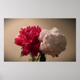 Peony, Poster