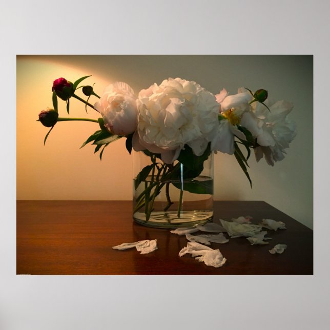 Peony, Poster (Vorne)