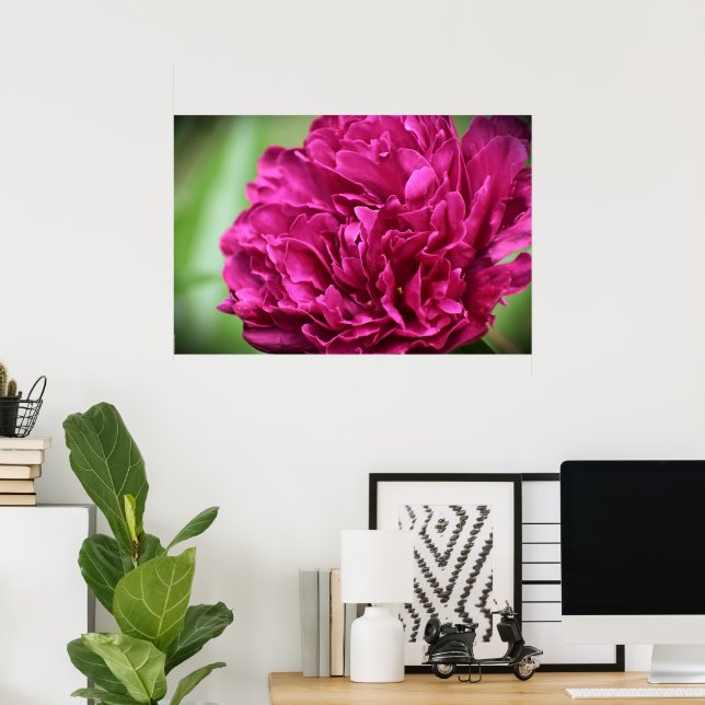 Peony, Poster (Heimbüro)