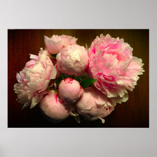 Peony, Poster
