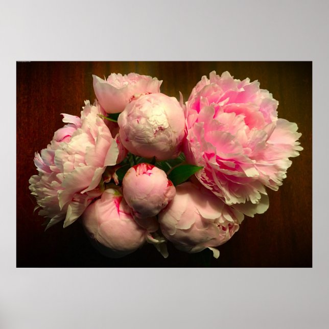 Peony, Poster (Vorne)