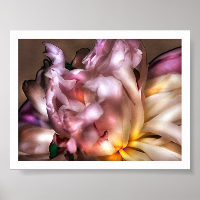 Peony Poster (Vorne)