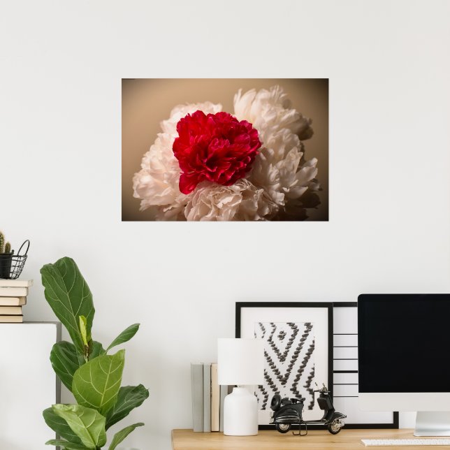 Peony, Poster (Heimbüro)