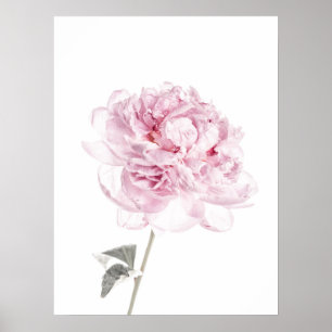 Peony Print Peony Wall Kunst Fotografie Poster