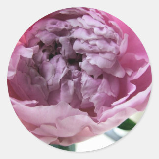 Peony Runder Aufkleber
