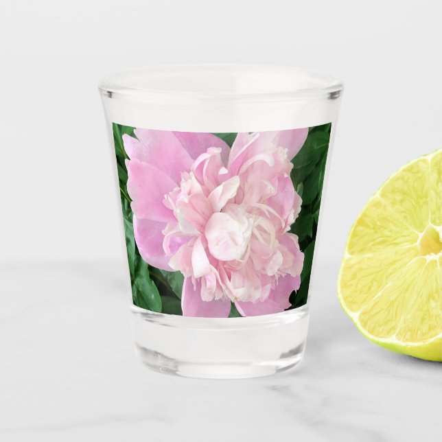 Peony Shot Glass Schnapsglas (Vorderseite)
