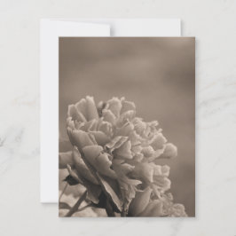 Peony Single Sepia Postkarte