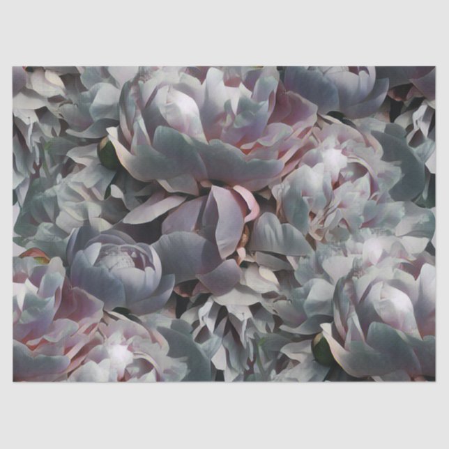 Peony-Studio Seidenpapier (Vorderseite)