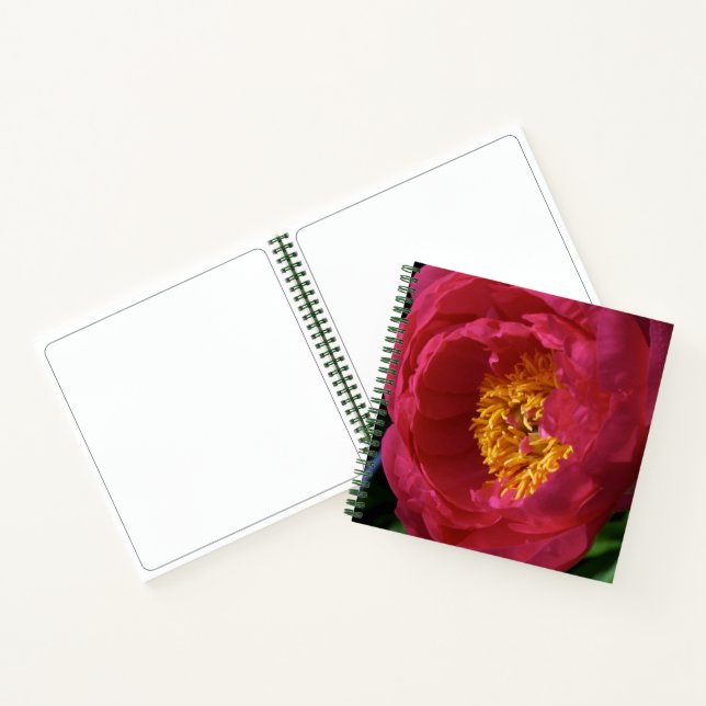 Peony ~ The Blume Collection Sketchbook Notizbuch (Innenseite)